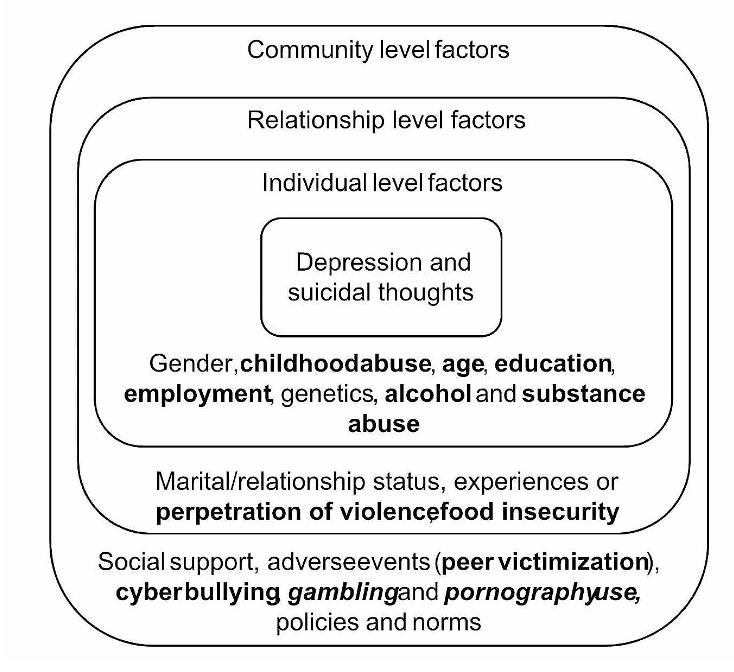 Figure depicting factors associated with depression and suicidal thoughts